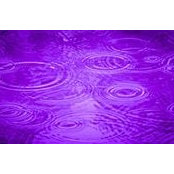 Stephanie Kramer's photo