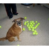 Andrew Hadley's photo