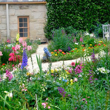 Flower garden