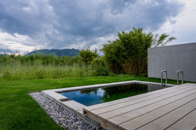 Kleiner Moderner Schwimmteich neben dem Haus in rechteckiger Form mit Pool-Gartenbau in München