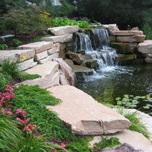 Pond