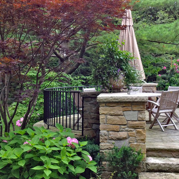 Planting and Maintenance