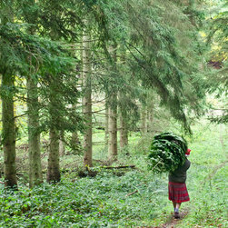 Delivery Services - Christmas Trees