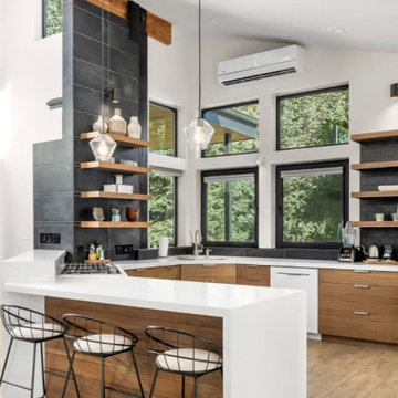 Industrial-Contemporary Remodel