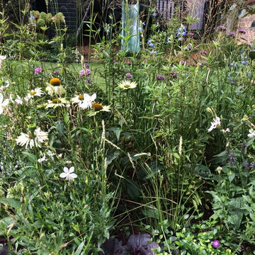 Ladbroke Grove Garden Design Revamp & Planting Design