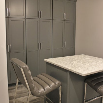 Lower Level Remodel With Home Bar, Spa-like Suite, Craft Room , and Home Gym