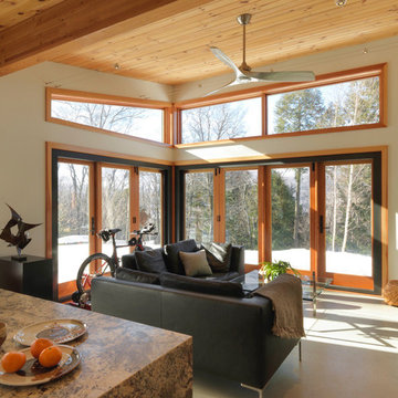 Mountain Cabin