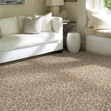 CARPET AND AREA RUGS