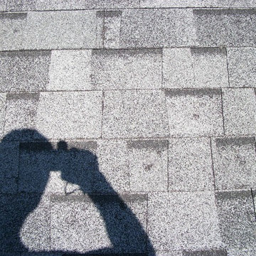 Photo of Hail damaged roof