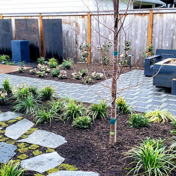 Radics backyard oasis
