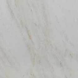 Calacatta Umber  12 x 24 Marble Tile - Tile