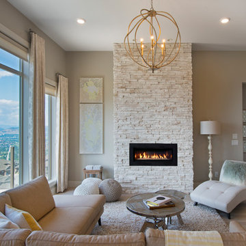 Interior Fireplace Applications