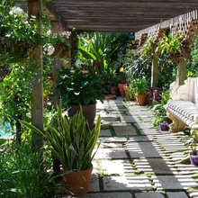 Pergola
