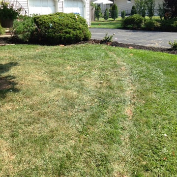 Installing a sprinkler system