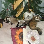 Nancy Connelly's photo
