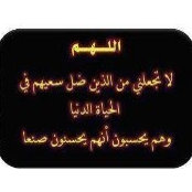Foto von Tamer Mousa