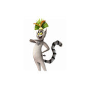 Alexander Gusev's photo