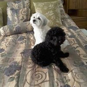 Deborah Watson's photo