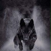 Nicholas Moreno's photo