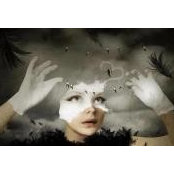 Avramescu Camelia's photo
