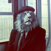 Youssef Atwa's photo
