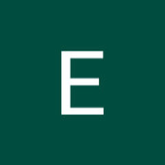 Henry and Eric Multi Services