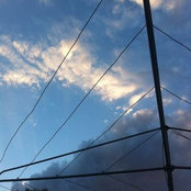 Amy Prenc's photo