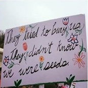 Kat Bosch's photo