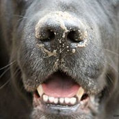 Gisela Alvim's photo