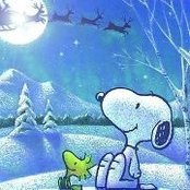Nancy Stangel's photo
