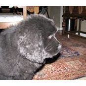 Michael Connolly's photo