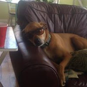 Brady Hankinson's photo