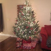 Tiffanie Deese's photo