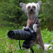 Peter Bednarz's photo