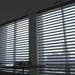 Hunter Douglas Pirouettes - Chicago - Window Treatments