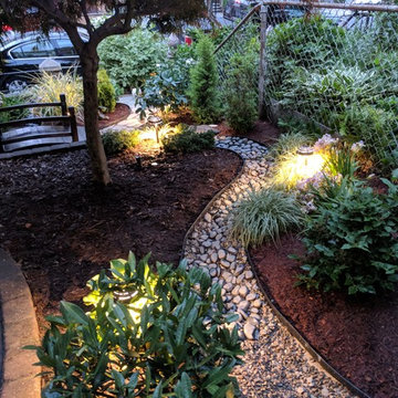 Discovery Garden