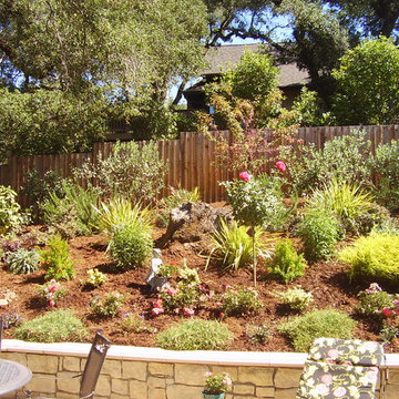 Bennett Valley English Garden