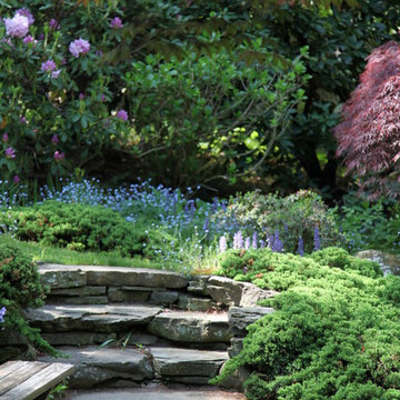 Woodland Garden
