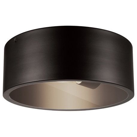 Teagan 1-Light Dark Bronze Outdoor Indoor Flush Mount Ceiling Light