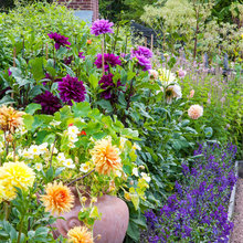 RETENTION WALL GARDEN