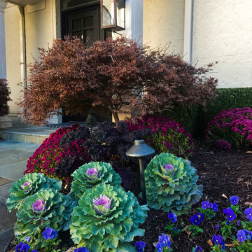 Cabbages, Kale, Mums, Pansies