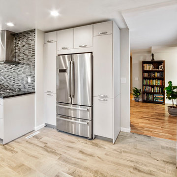 Monochrome Contemporary Kitchen