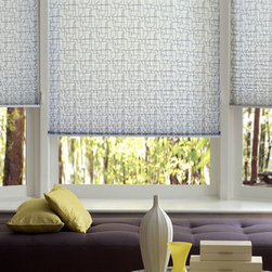 Hunter Douglas Pleated Shades - Window Blinds