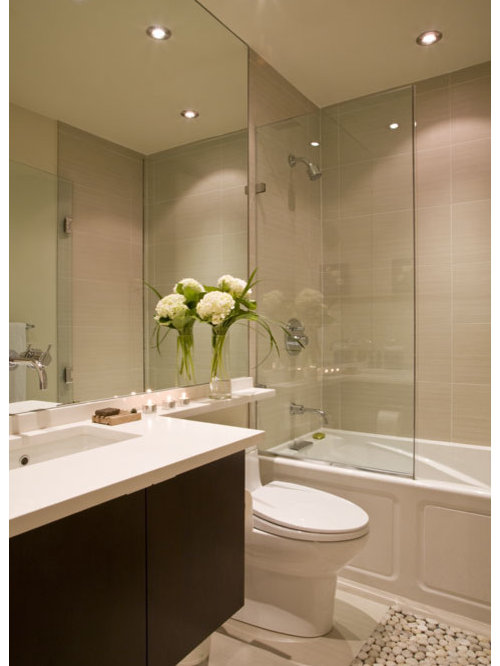 Glass Tub Doors Houzz