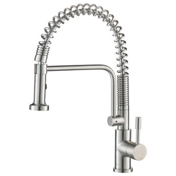 Isenberg K.1200 Caso, Dual Spray Stainless Steel Kitchen Faucet With Pull Out