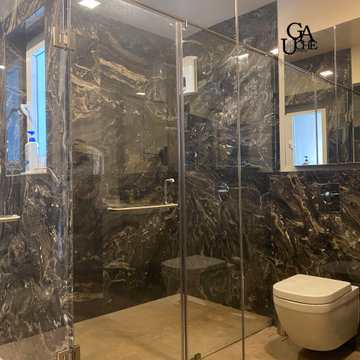 Bathroom + Walk-in Renovation, Pune