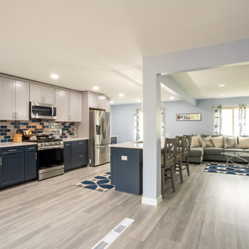 Open Concept - Main Level Renovation- FW