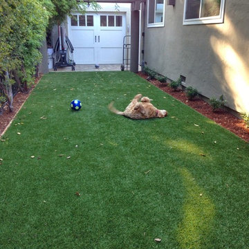 Soccer anyone?