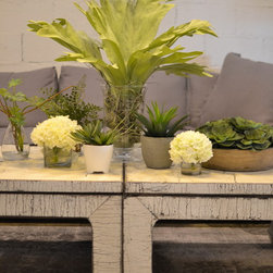 Decor & Accessories - Decorative Accents