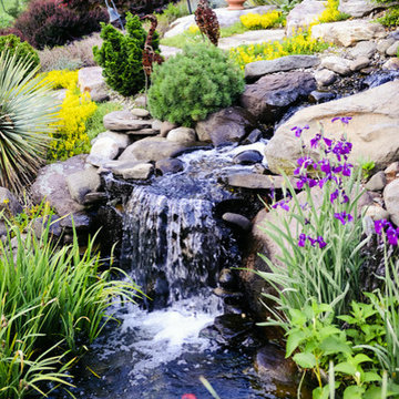 Wedding Garden